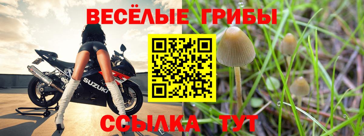Псилоцибиновые грибы Psilocybe  Псилоцибиновые грибы MAGIC MUSHROOMS  купить закладку  Вход с VPN  Зеленокумск 